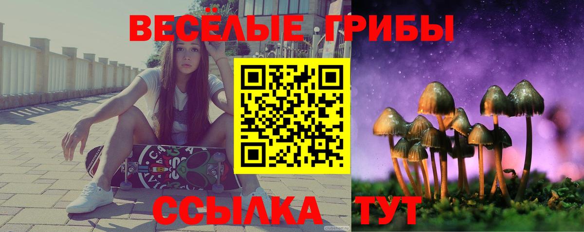 Галлюциногенные грибы мицелий  Вход с VPN  Александров 